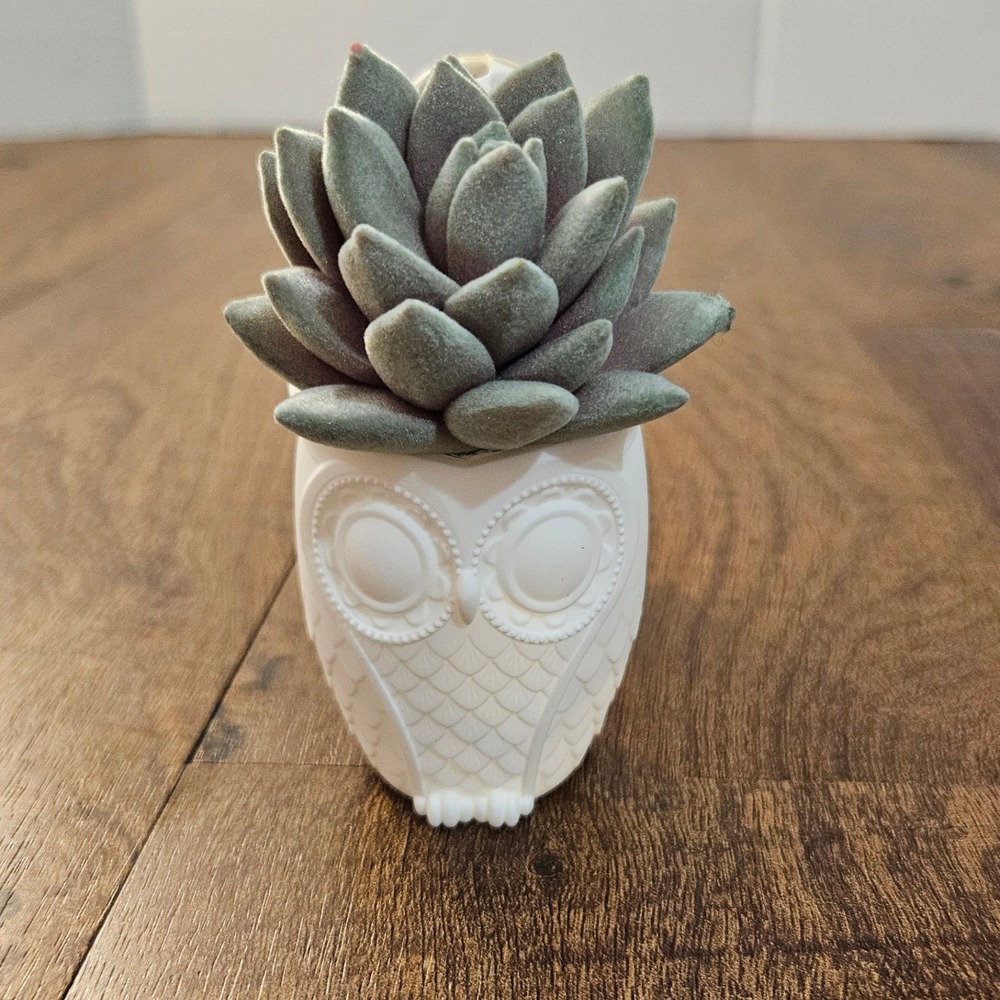 Bath & Body Works Wallflowers Plug In Owl Succulent Home Decor